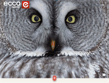 Tablet Screenshot of eccanordic.com